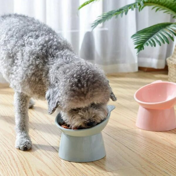 Plastic Multipurpose Bowl, Food Bowls (1 Pc) - Image 3