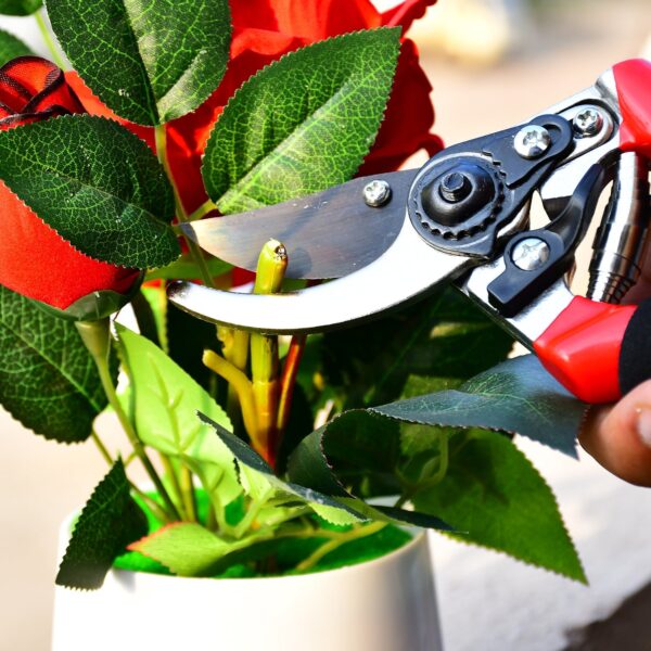 21Cm Red GARDEN SHEARS SHARP CUTTER PRUNERS SCISSOR, PRUNER. - Image 3
