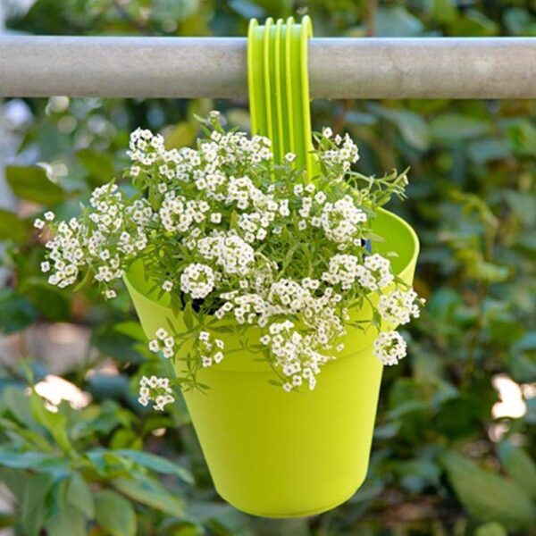 Plastic Hanging Planter Pot, Multicolour, - Image 3